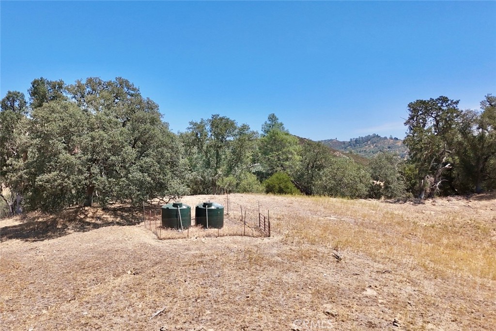 Property photo 46