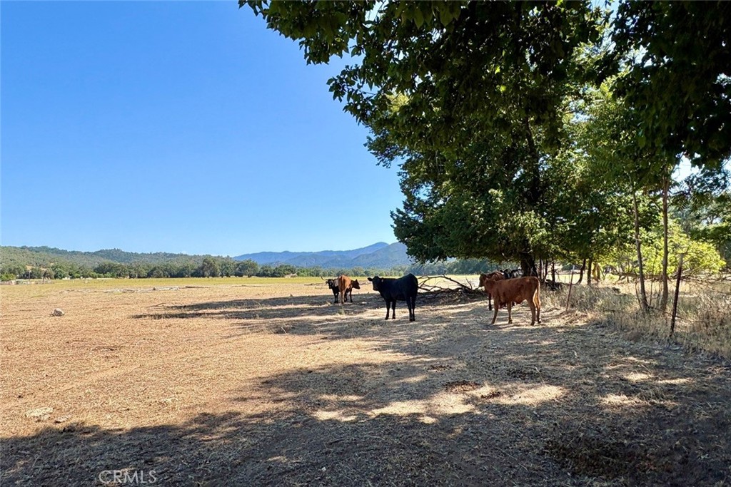 Property photo 47