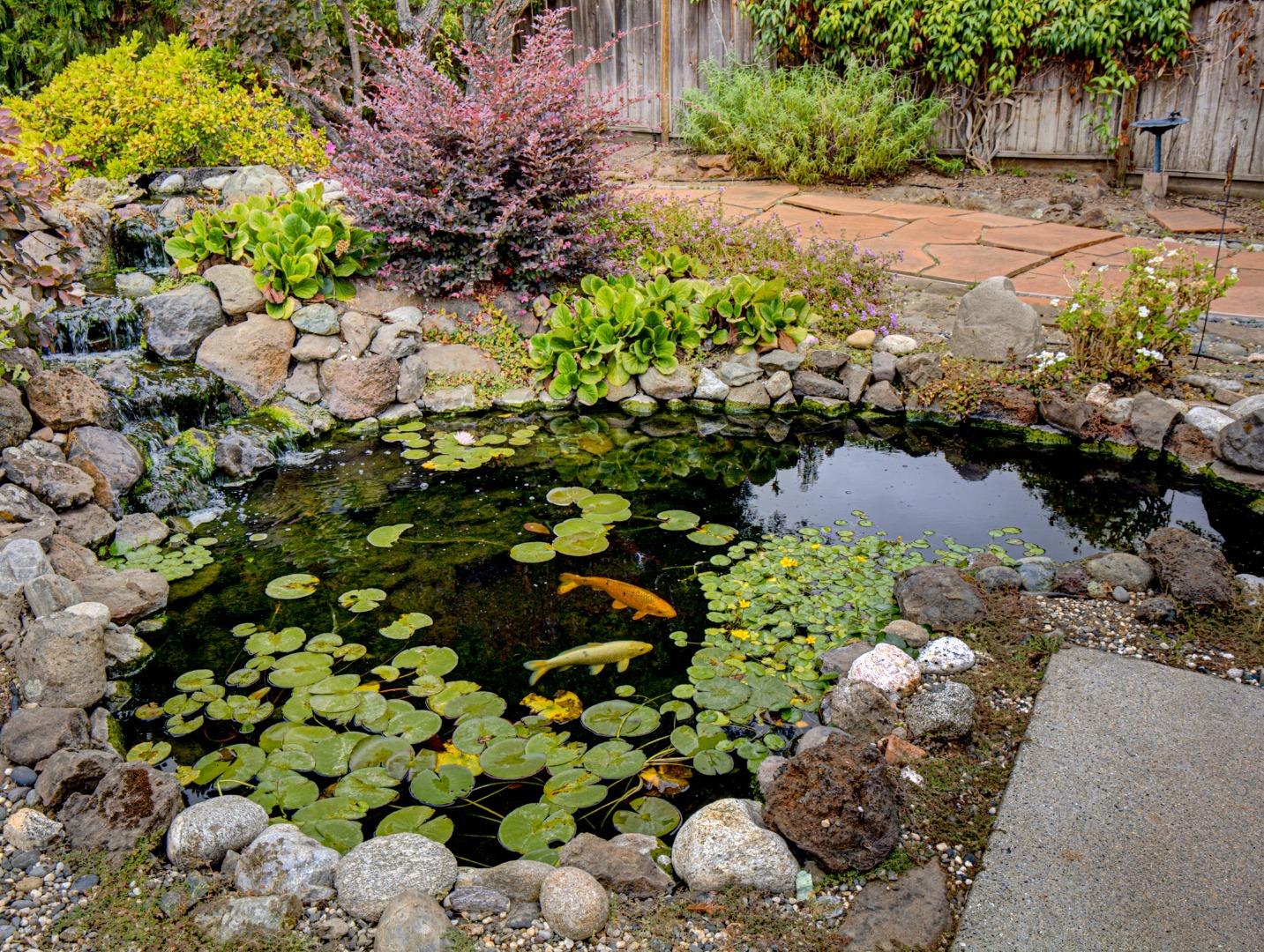 Property photo 46