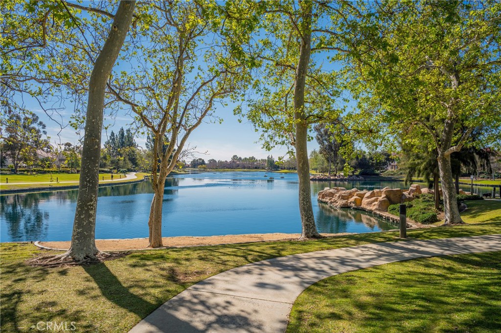 Property photo 47