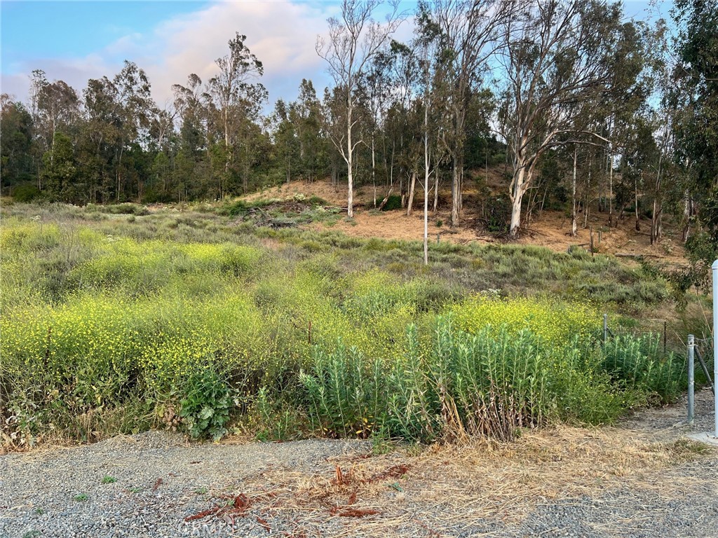 Property photo 46