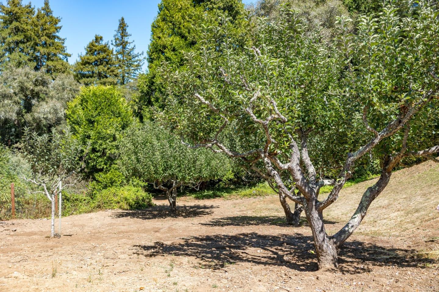 Property photo 40