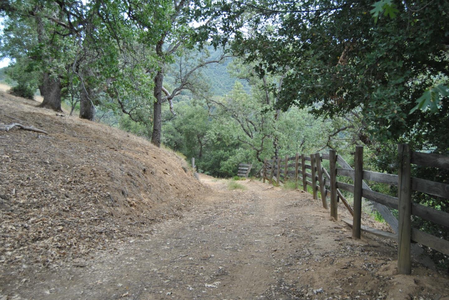 Property photo 41