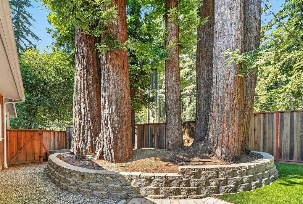 Property photo 51