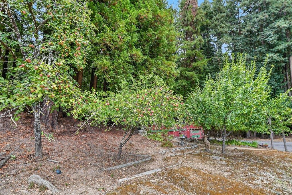 Property photo 31