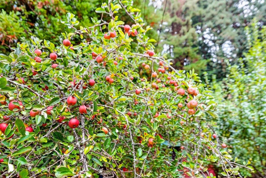 Property photo 32