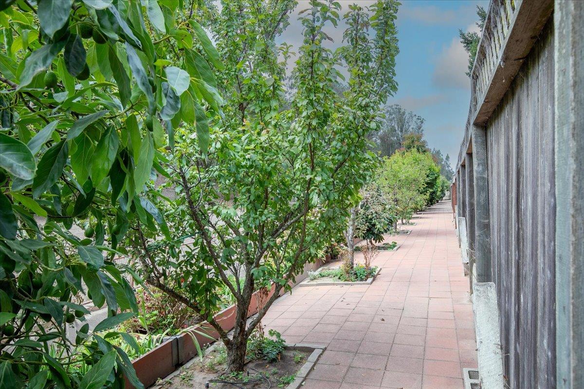 Property photo 28