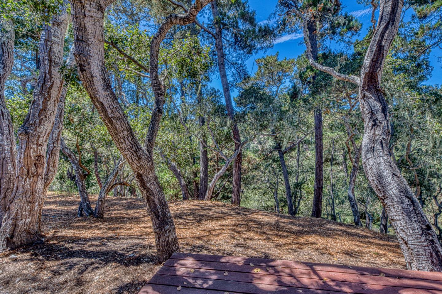 Property photo 28