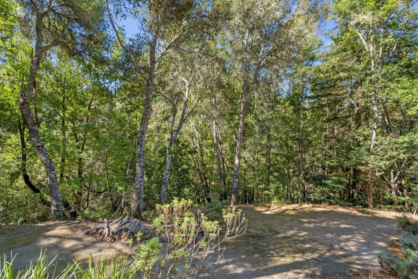 Property photo 49