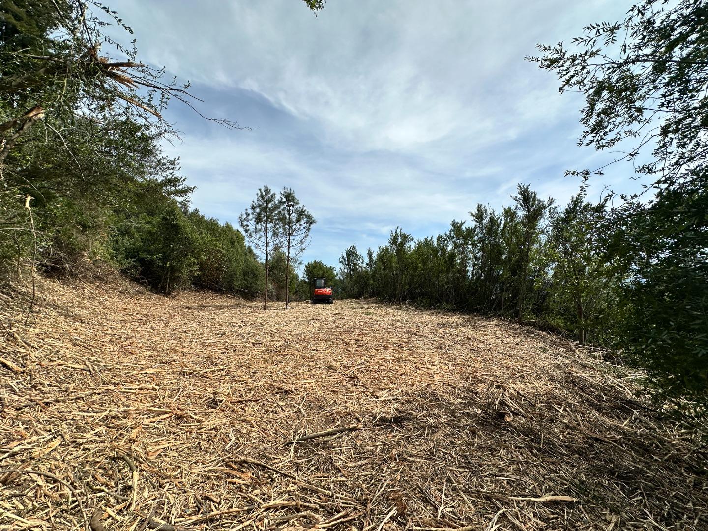 Property photo 33