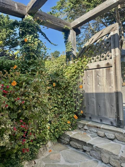 Property photo 44