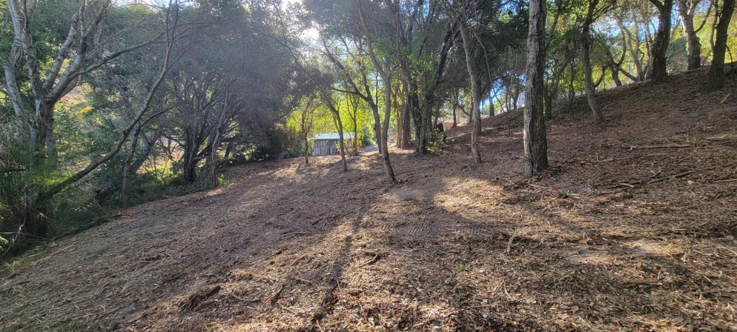 Property photo 18