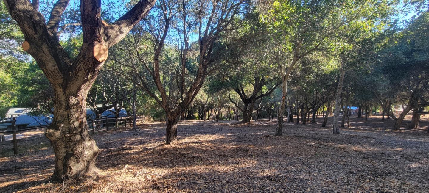 Property photo 23