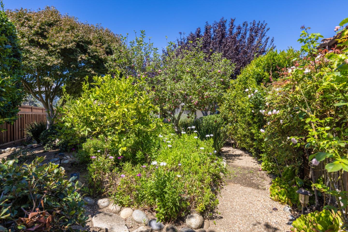 Property photo 39