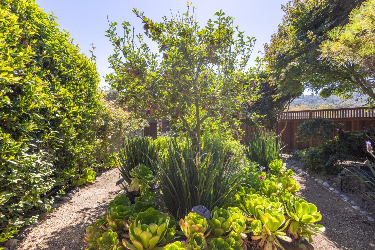 Property photo 40
