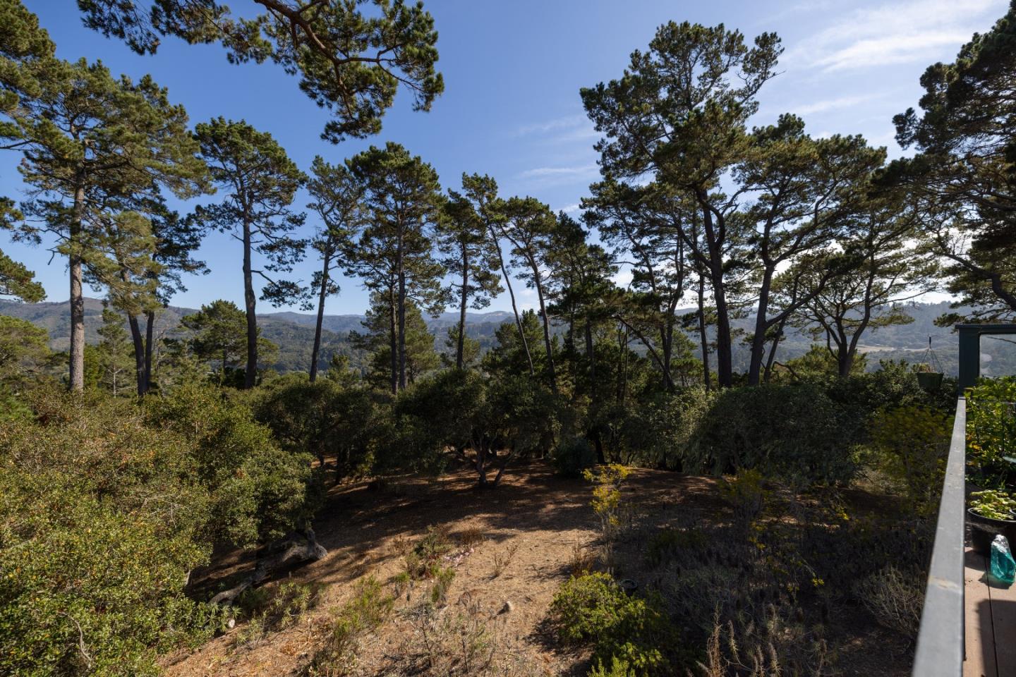Property photo 46
