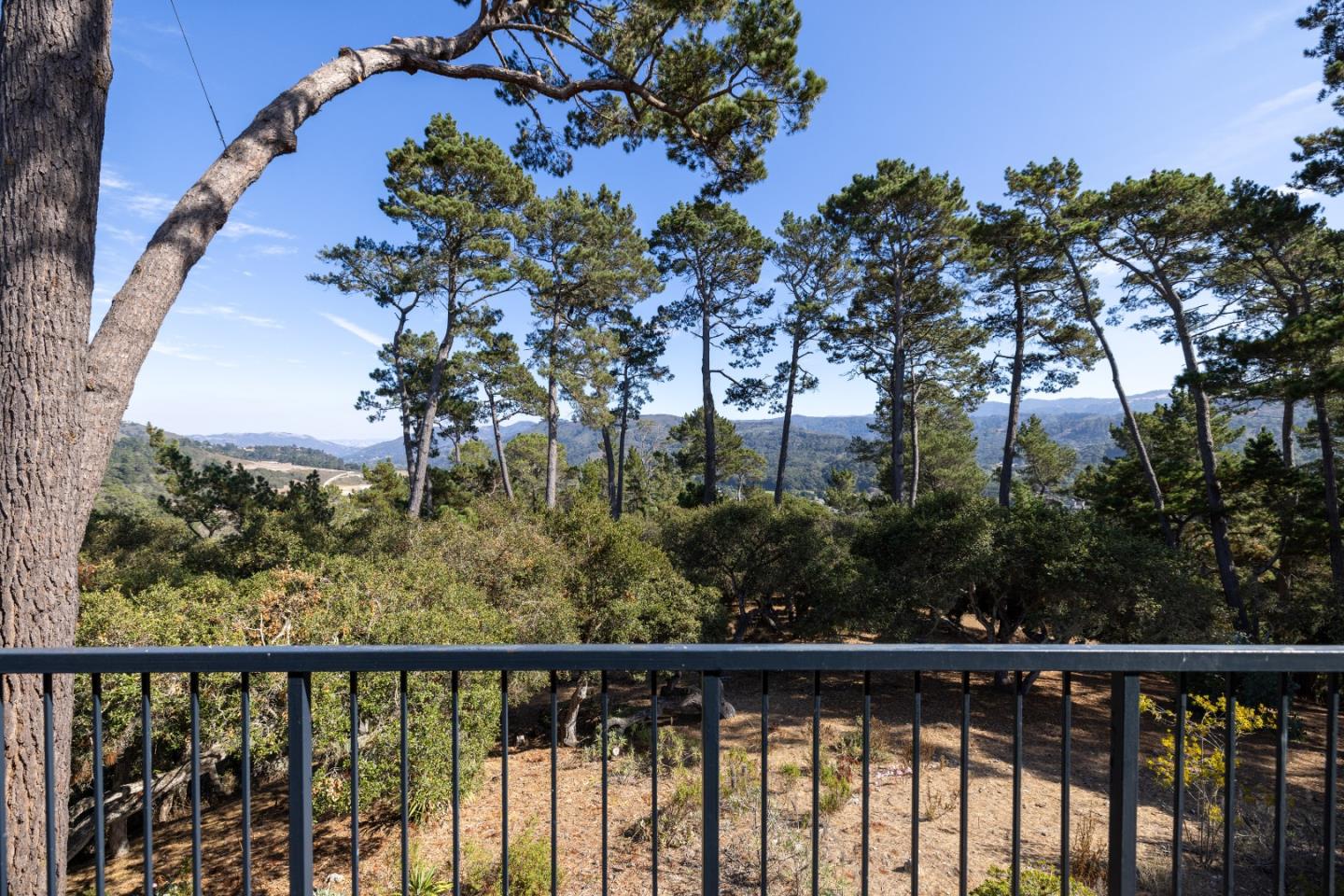 Property photo 47
