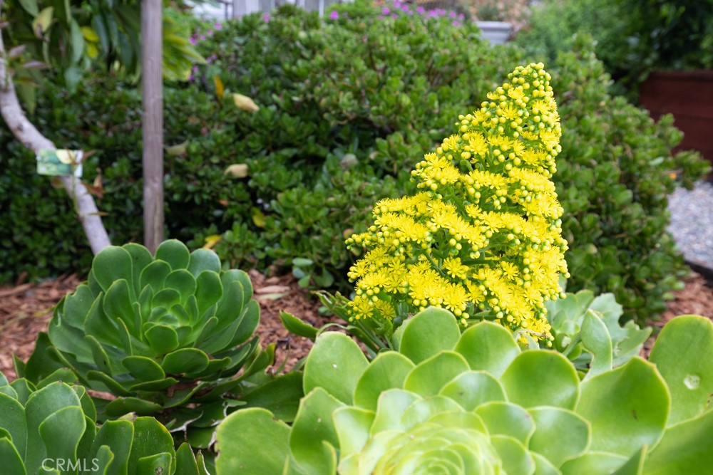 Property photo 49