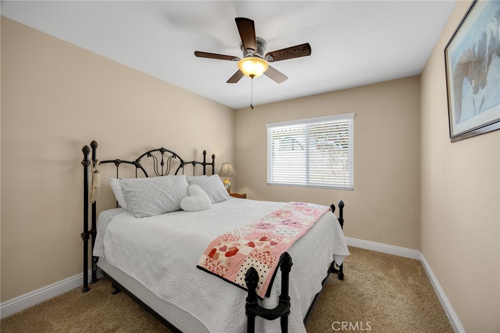 Property photo 41