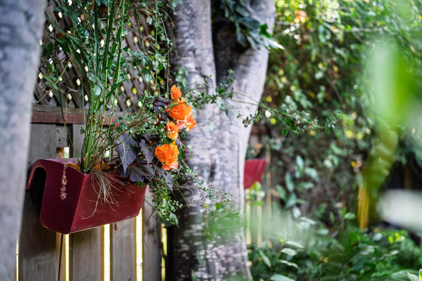 Property photo 28