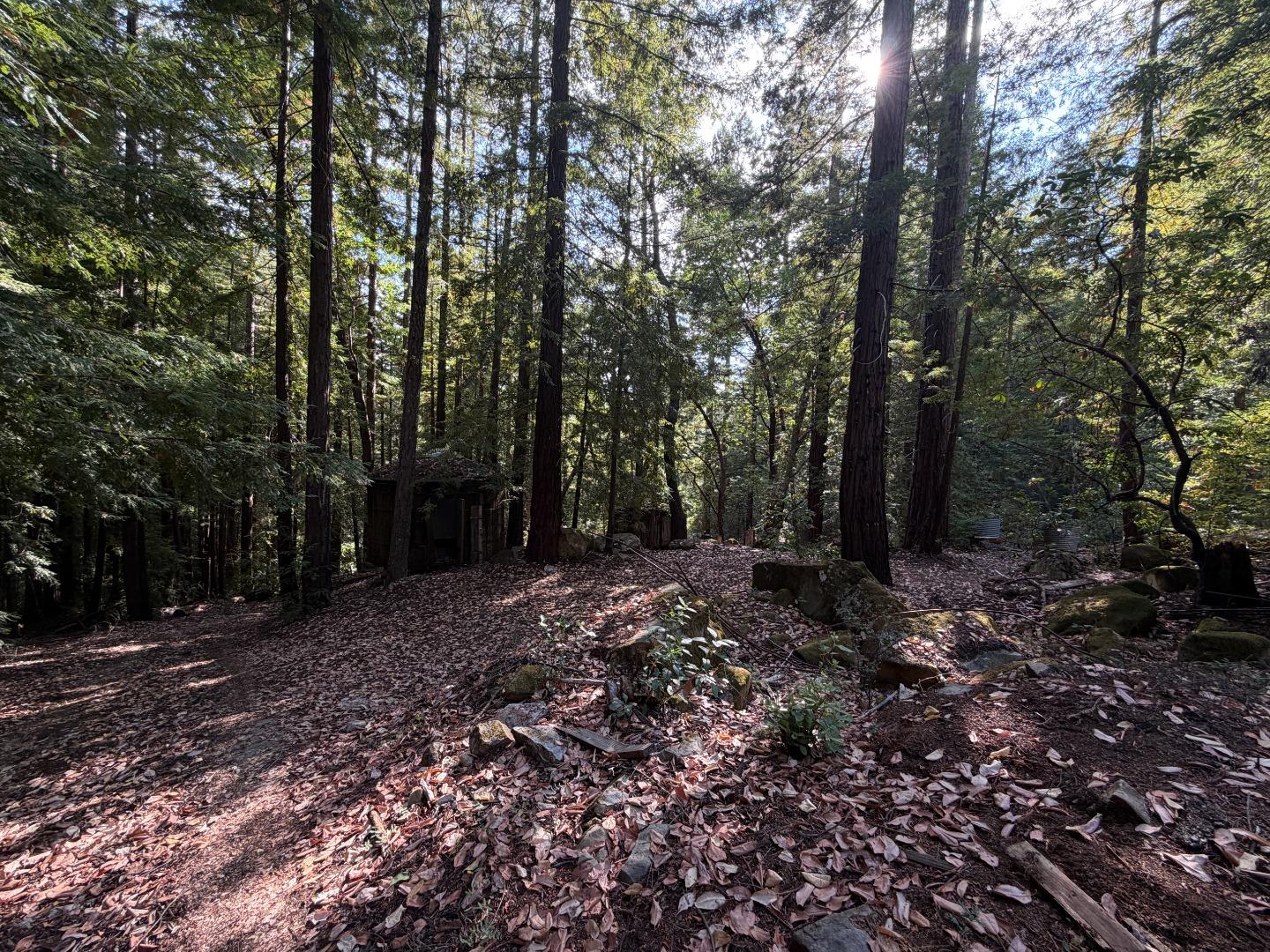 Property photo 17