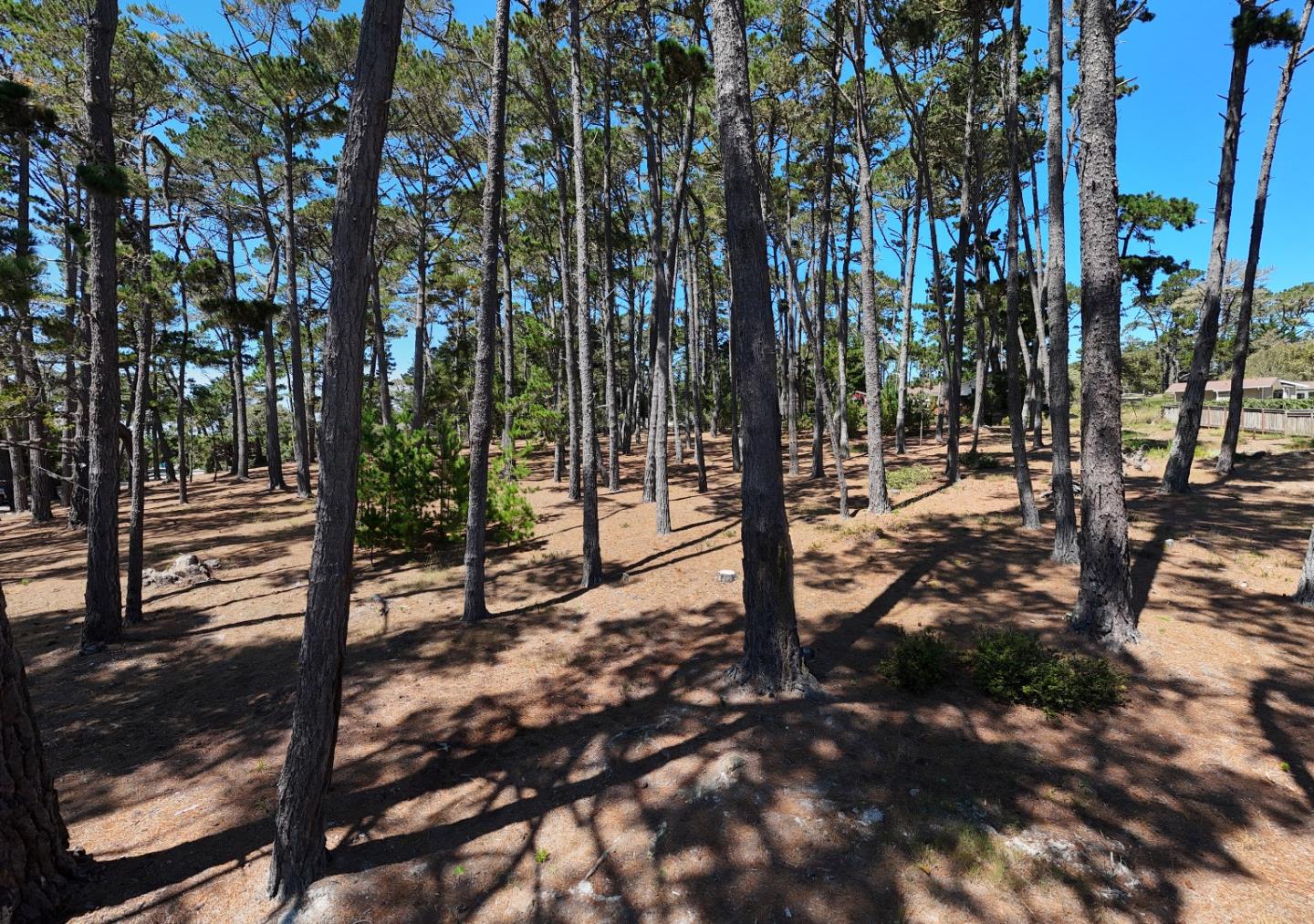 Property photo 21