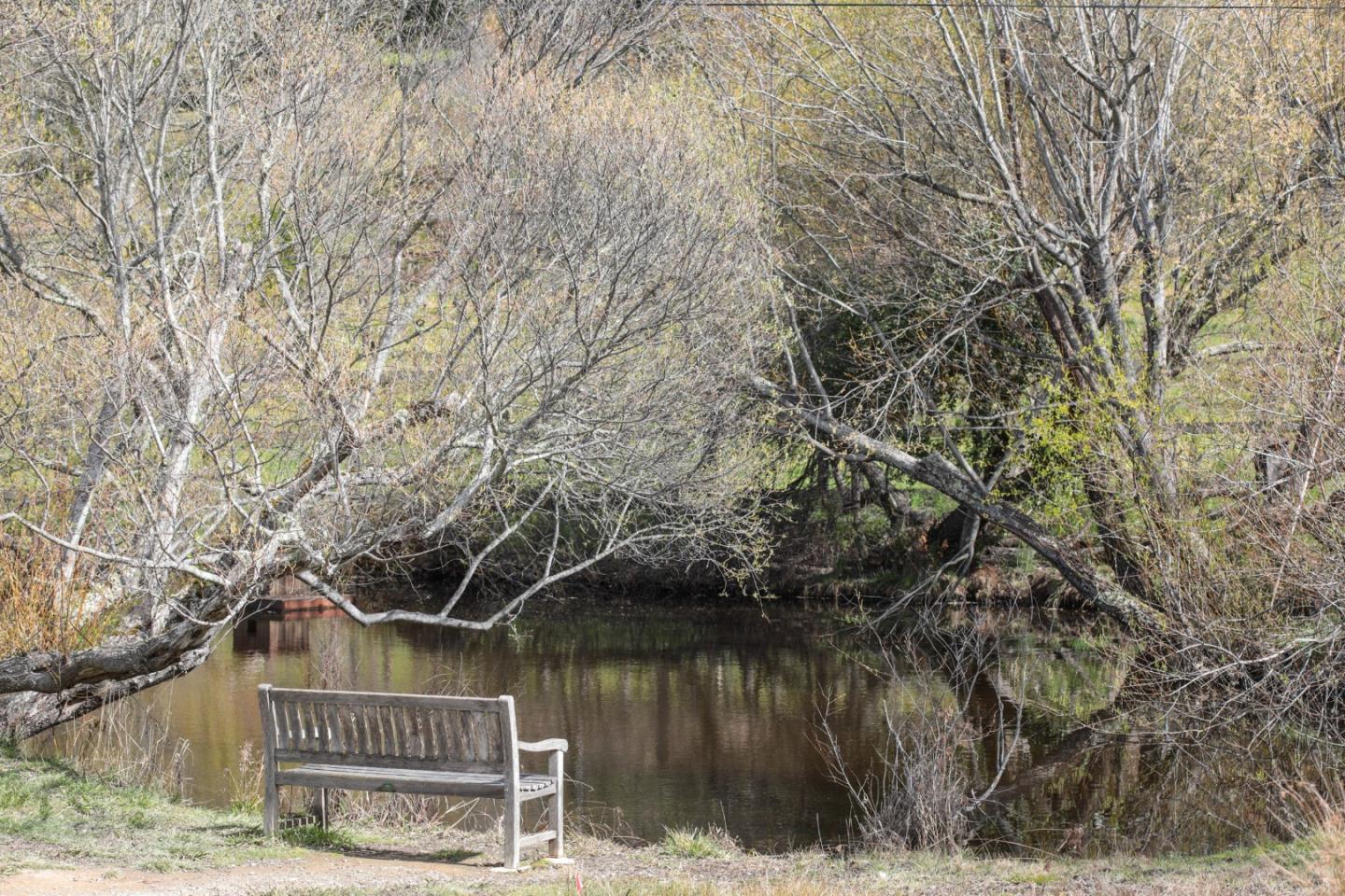 Property photo 50