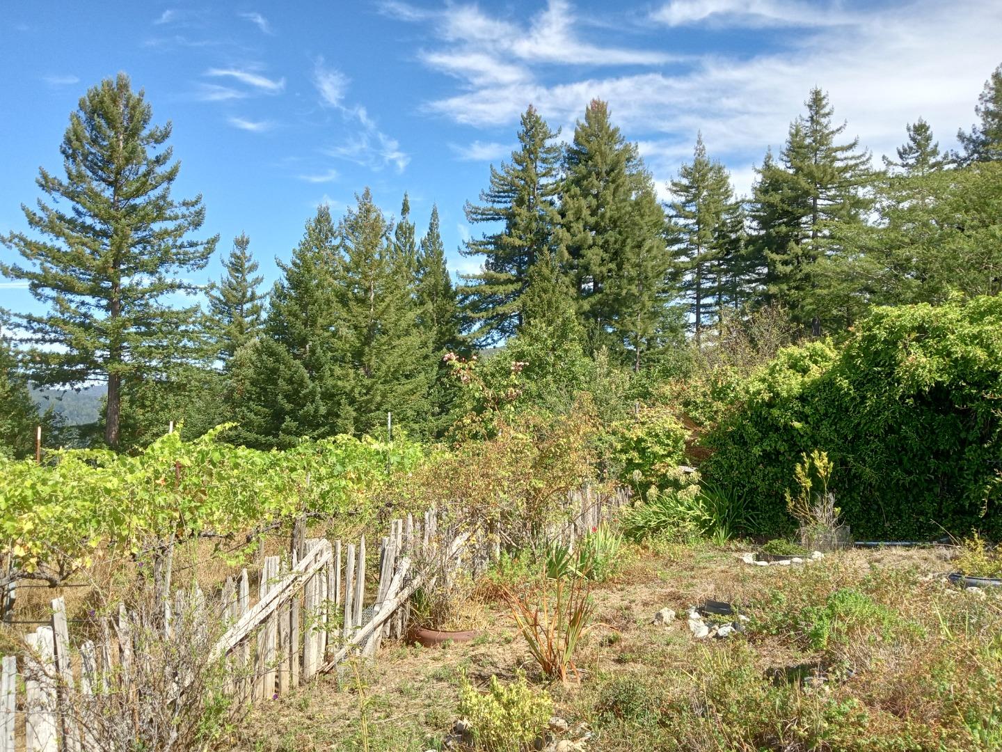 Property photo 31