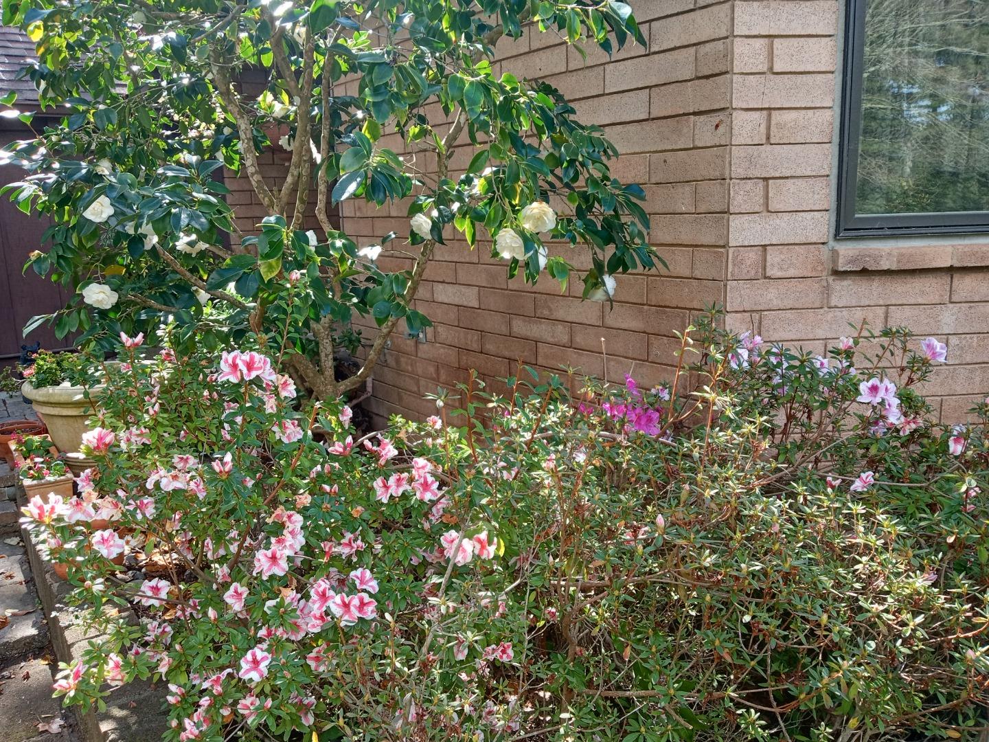 Property photo 41