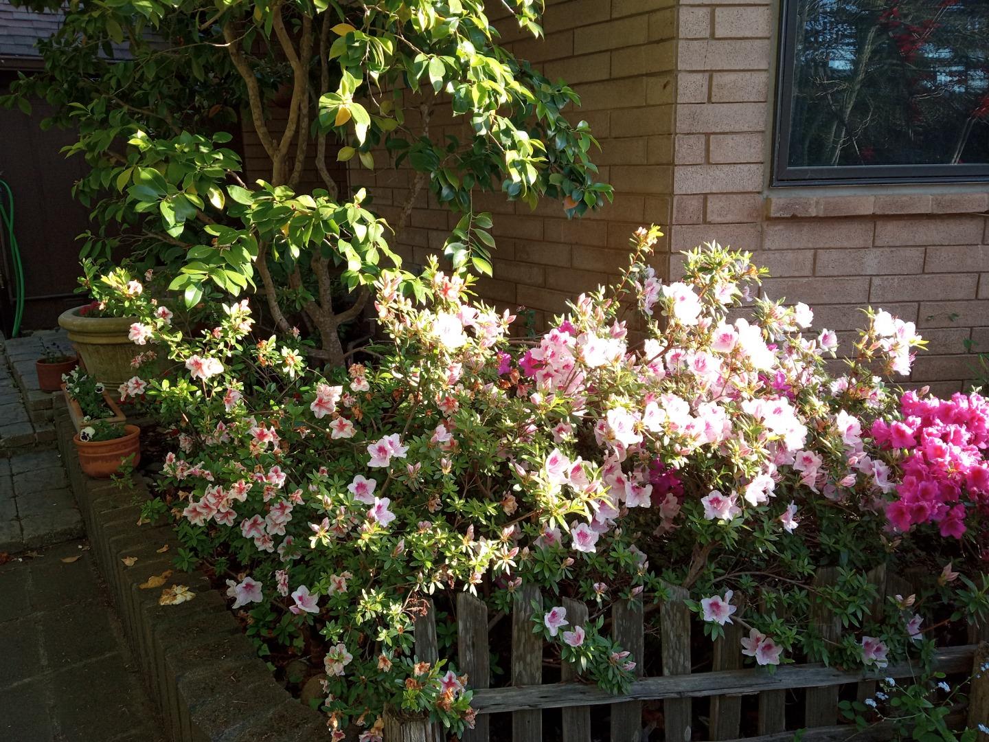 Property photo 42