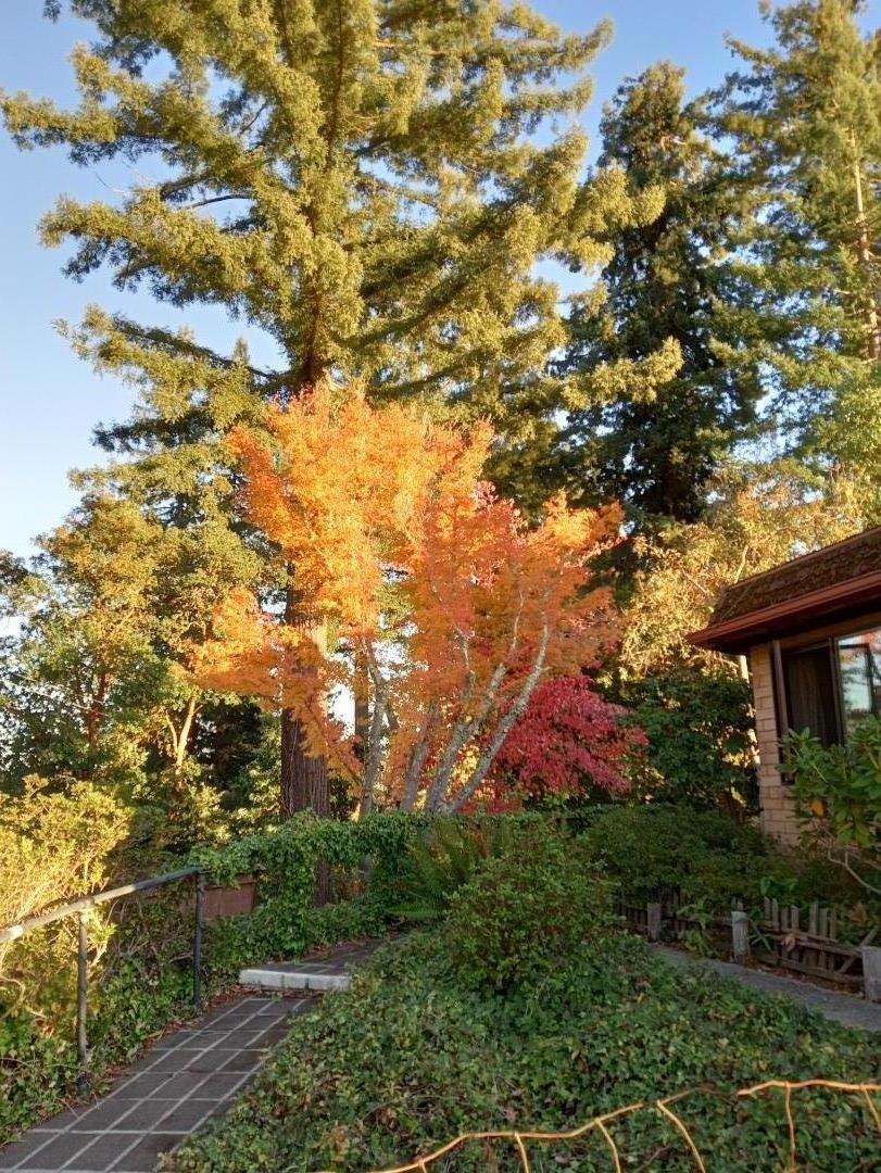 Property photo 43