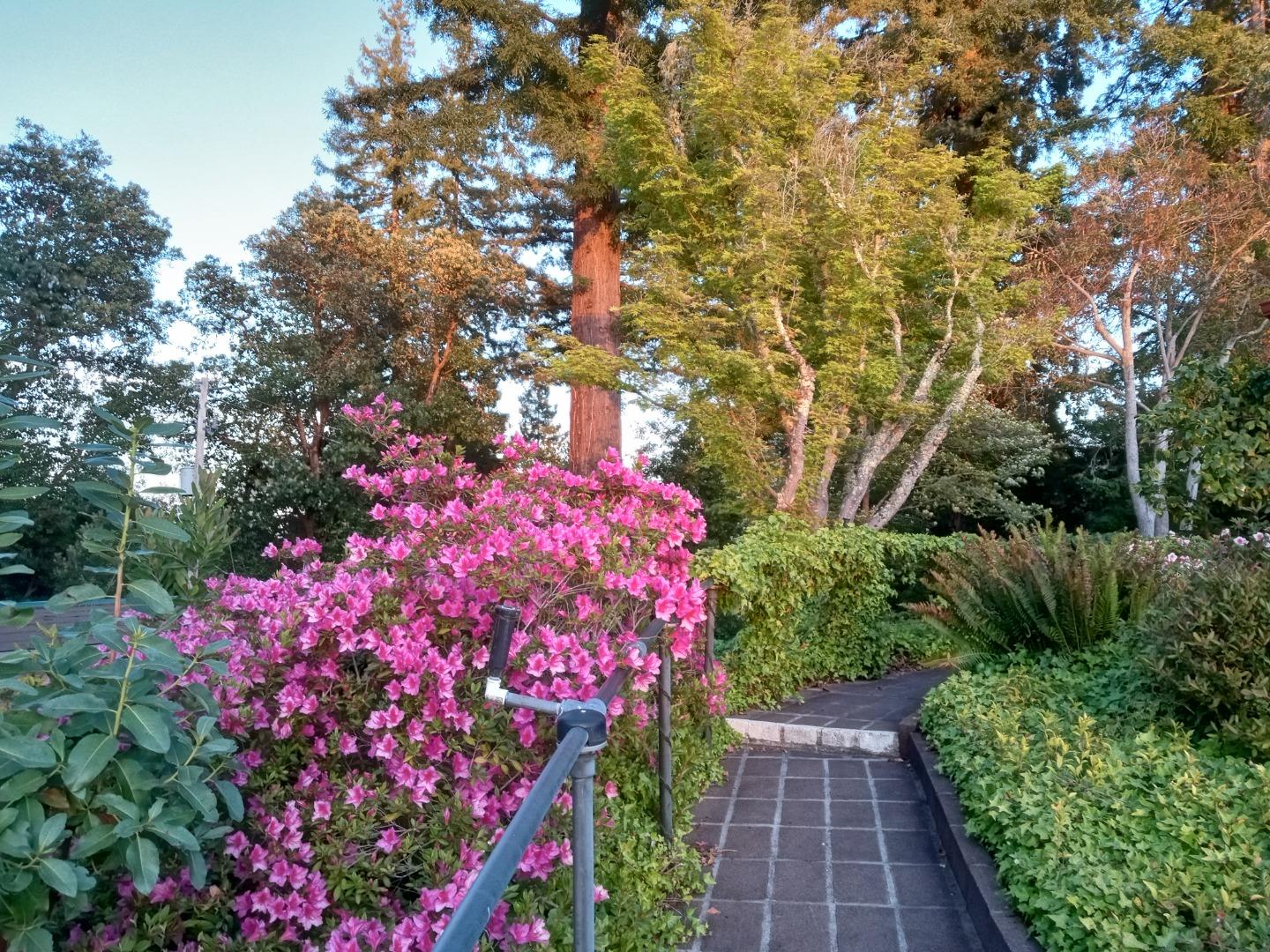Property photo 44