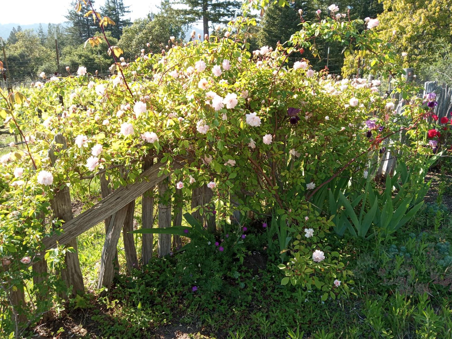Property photo 48
