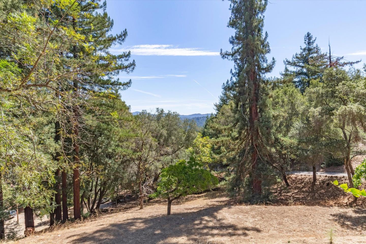 Property photo 36