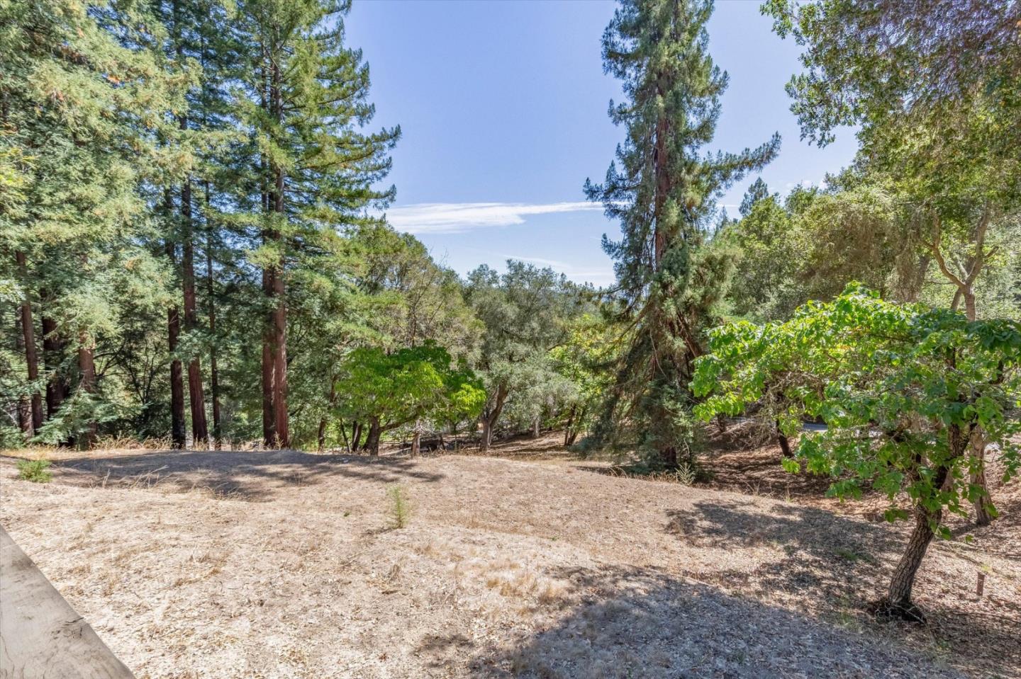 Property photo 37