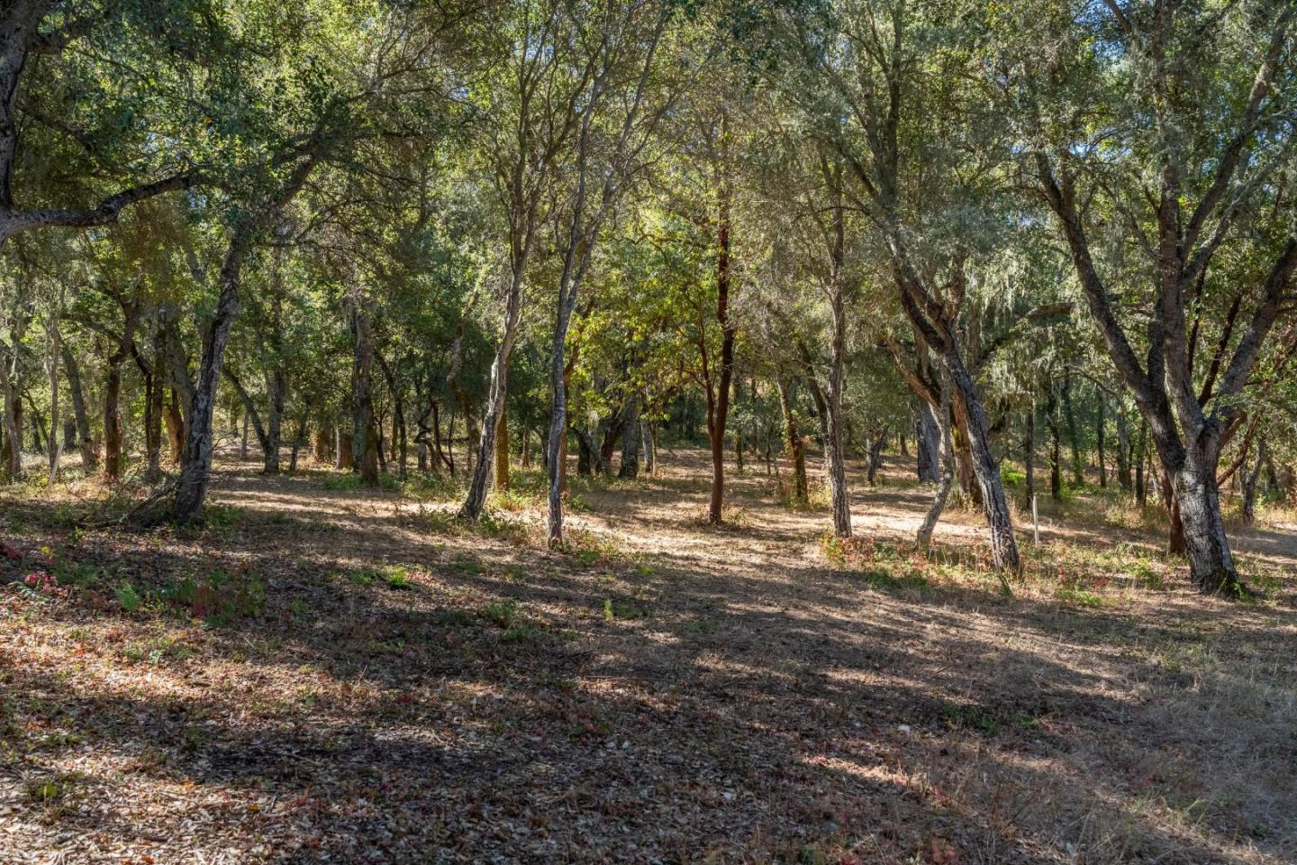Property photo 23