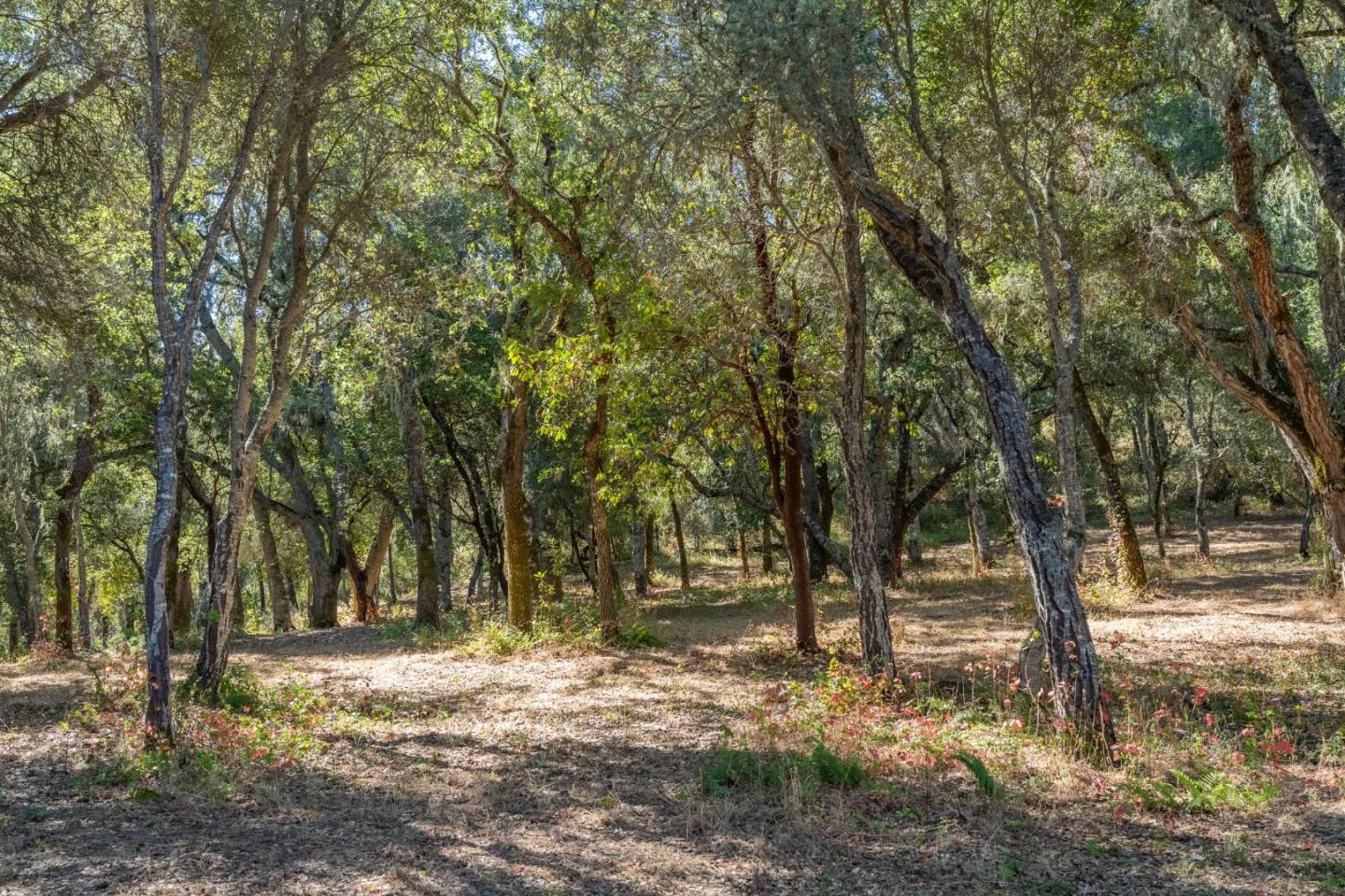 Property photo 27