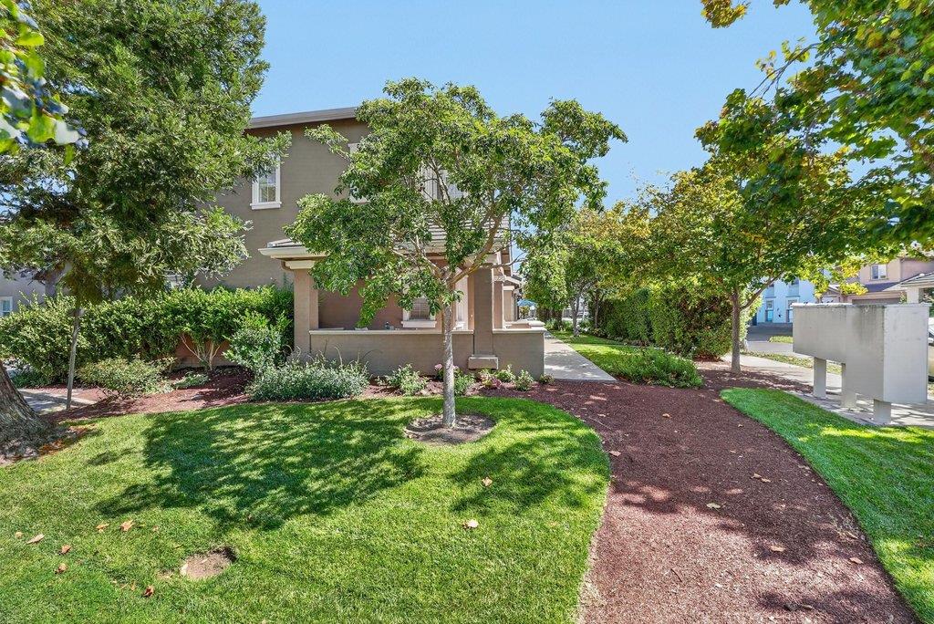 Property photo 41