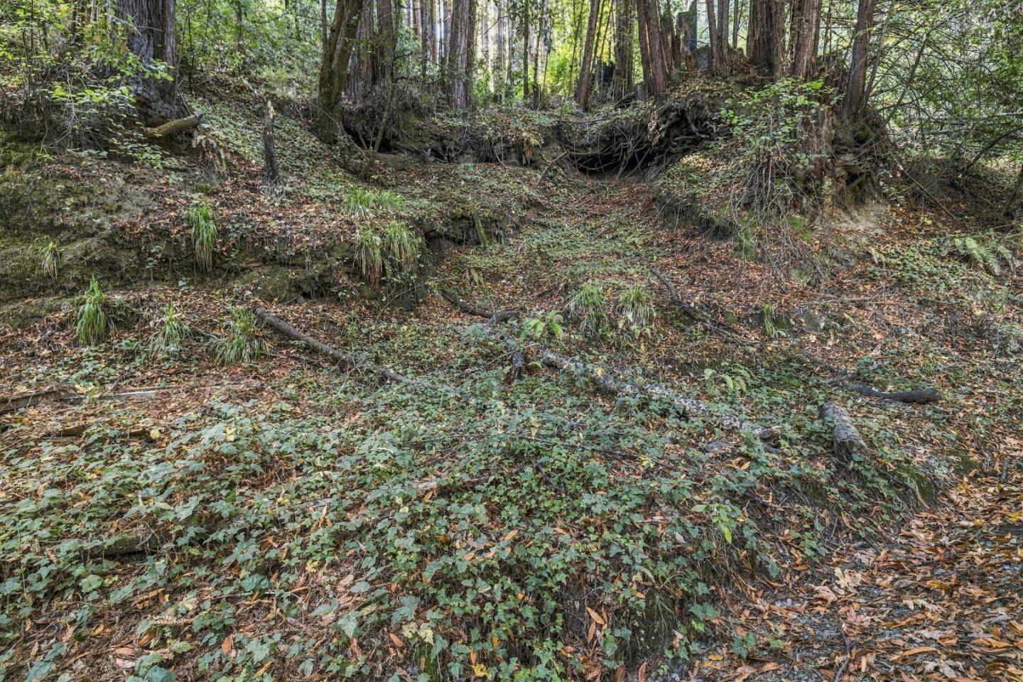 Property photo 21