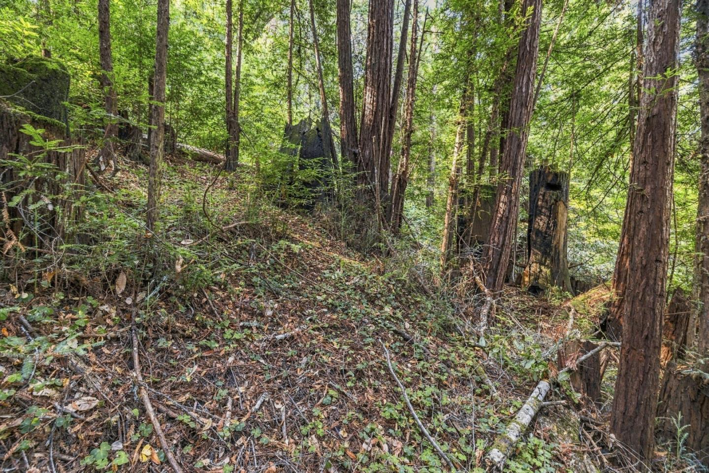 Property photo 23