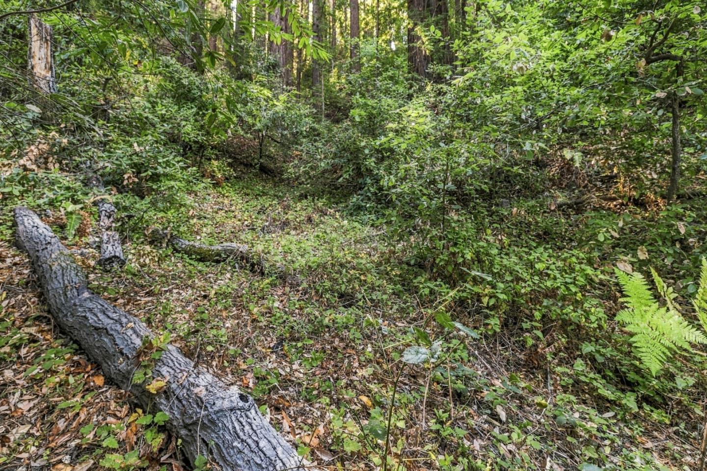 Property photo 27