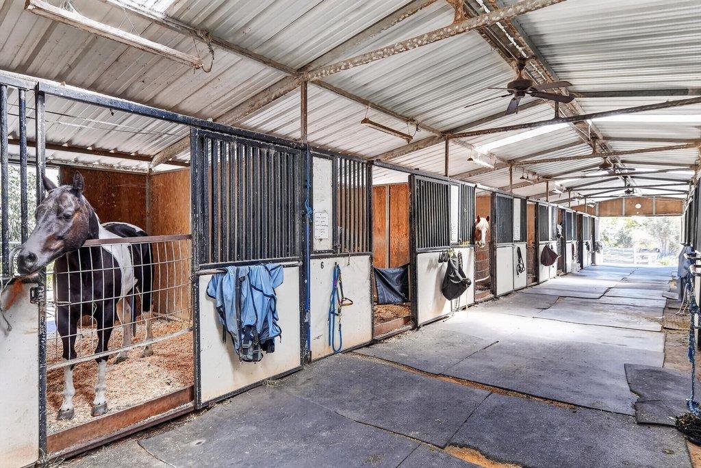 Property photo 45