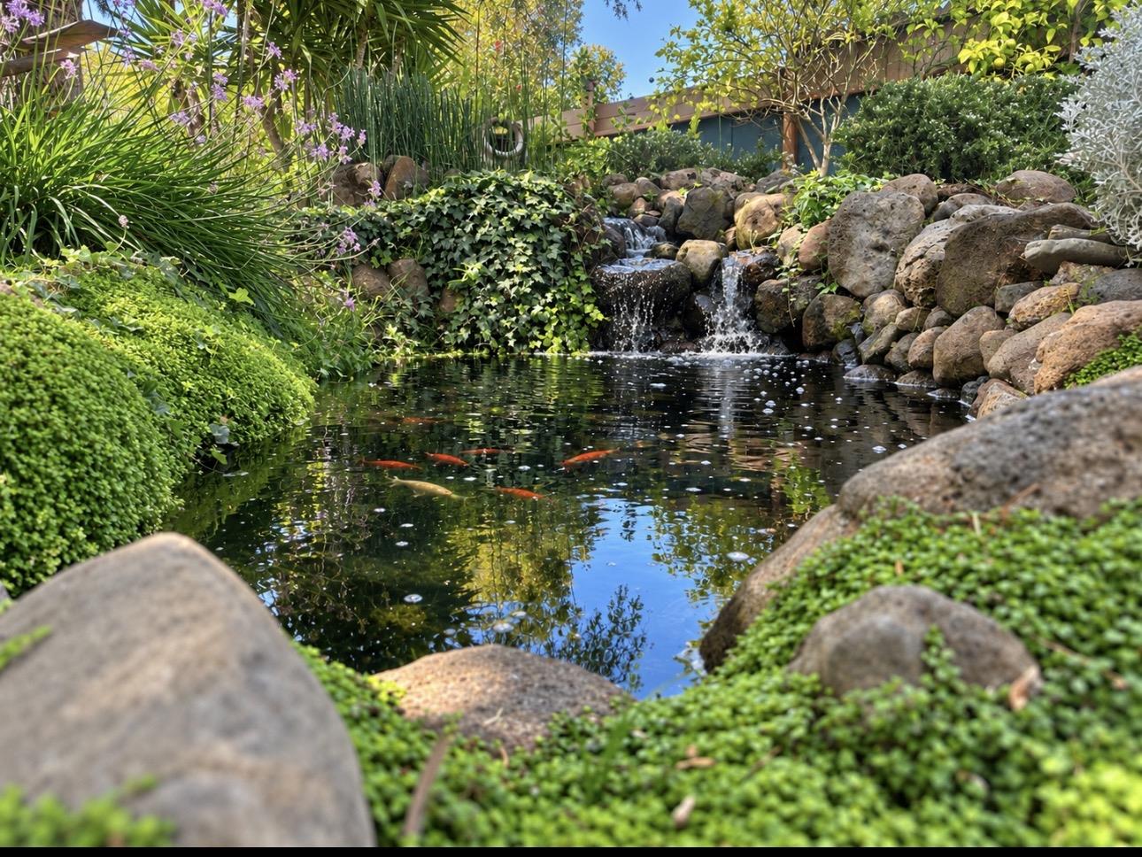 Property photo 22