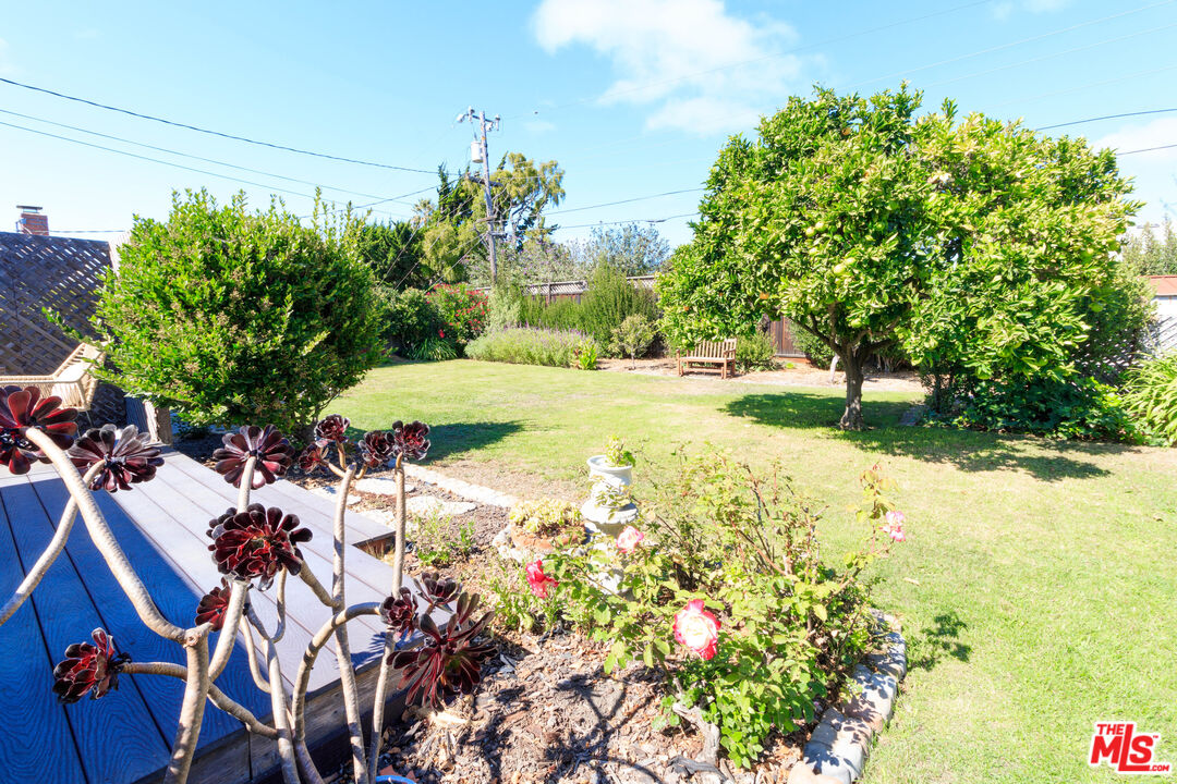 Property photo 35