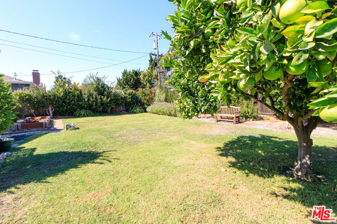 Property photo 38