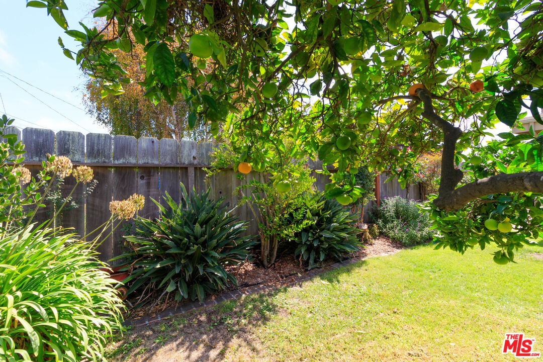 Property photo 41
