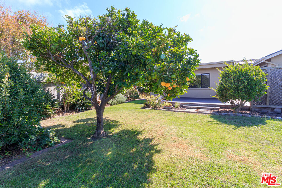 Property photo 42