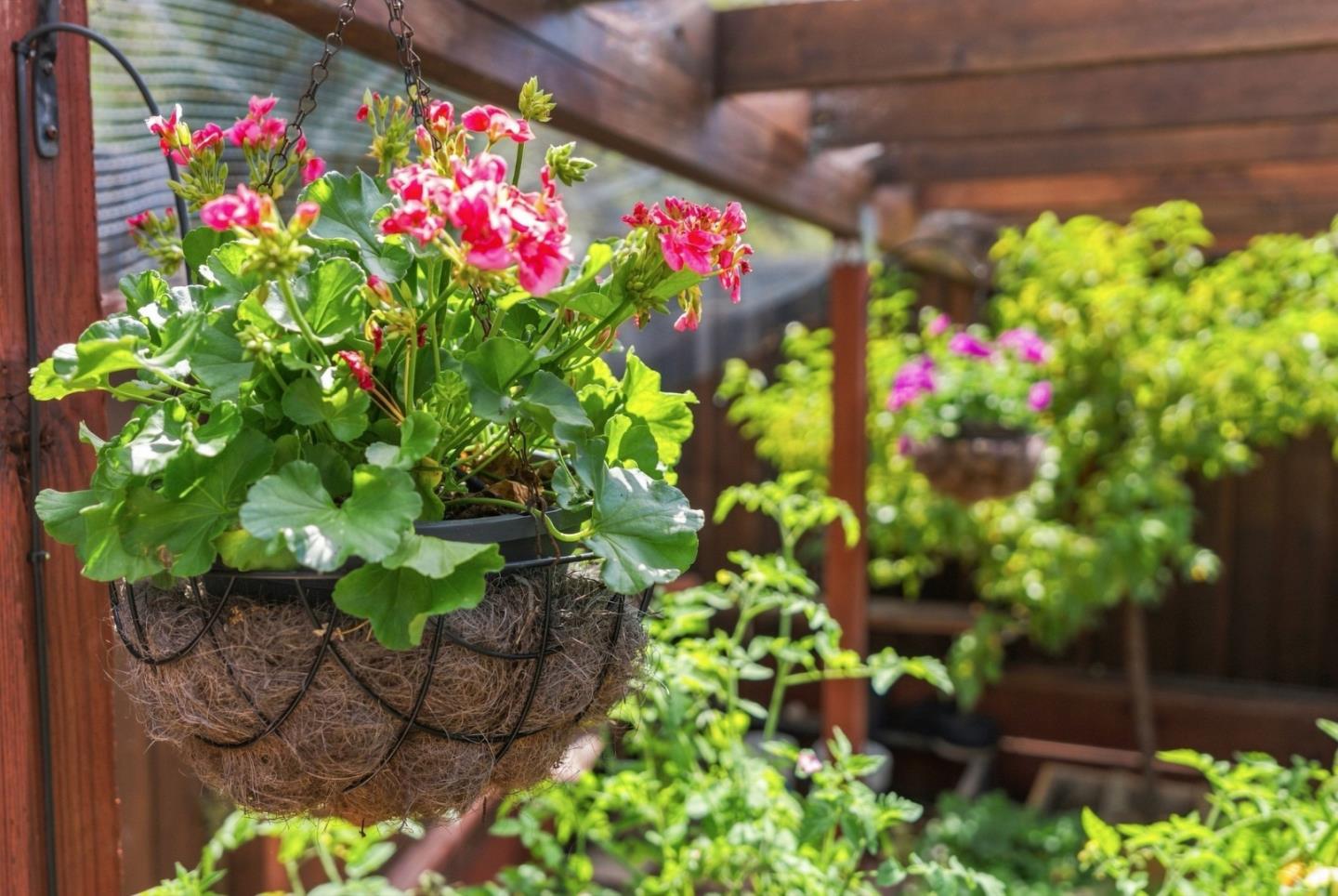 Property photo 33