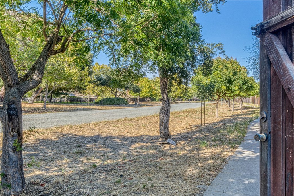 Property photo 39