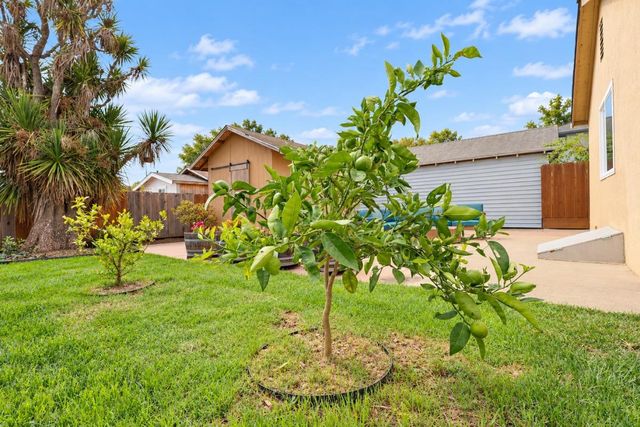 Property photo 31